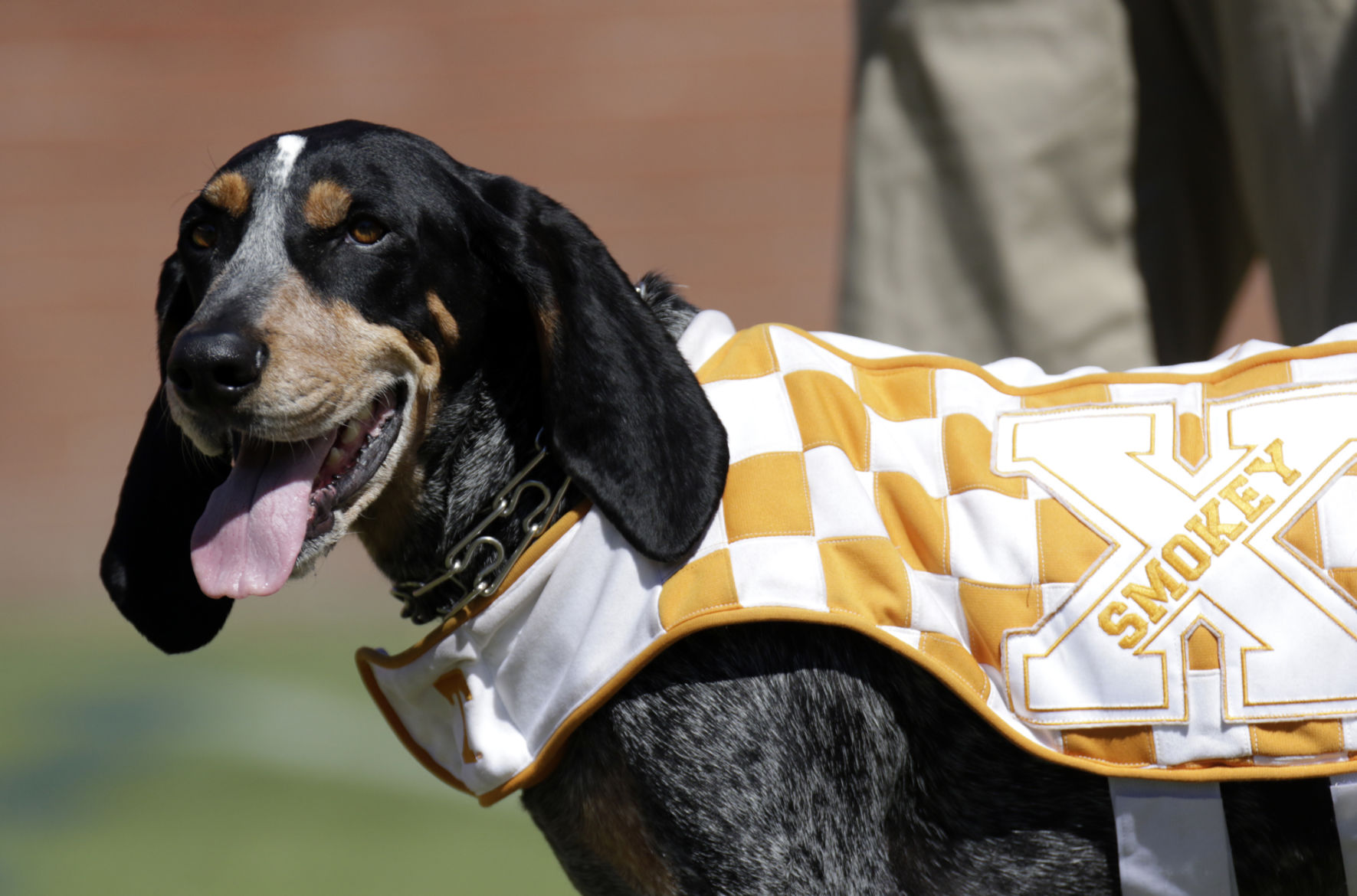 No. 10 Tennessee